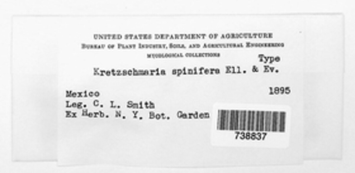 Kretzschmaria micropus image